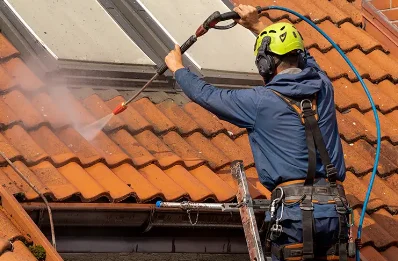 Démoussage et hydrofuge de toiture à Laméac